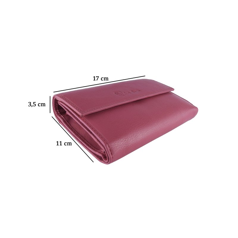 CONTE MASSIMO Portefeuille Femme Avec Clip, Cuir Véritable avec Emplacements Cartes et Porte-monnaie — vue 32