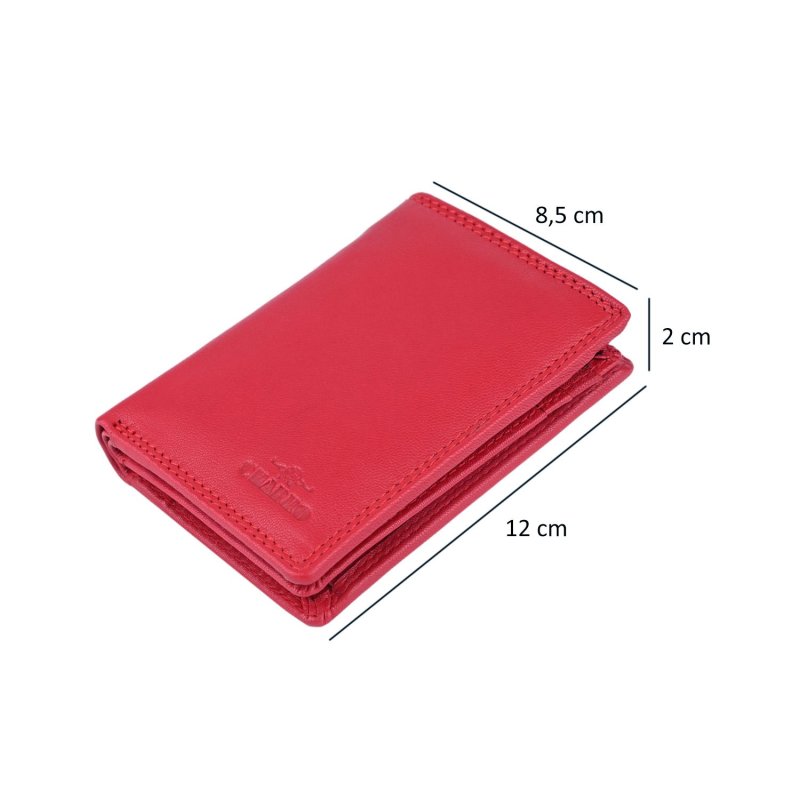 CHARRO Portefeuille Vertical en Cuir Véritable Homme et Femme, Fin sans Porte-Monnaie, avec Boîte Cadeau 01 — vue 44