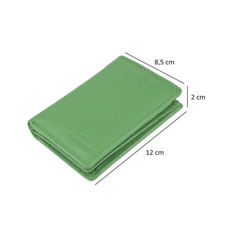 CHARRO Portefeuille Vertical en Cuir Véritable Homme et Femme, Fin sans Porte-Monnaie, avec Boîte Cadeau 01 — vue 52